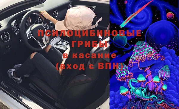 амф Алзамай