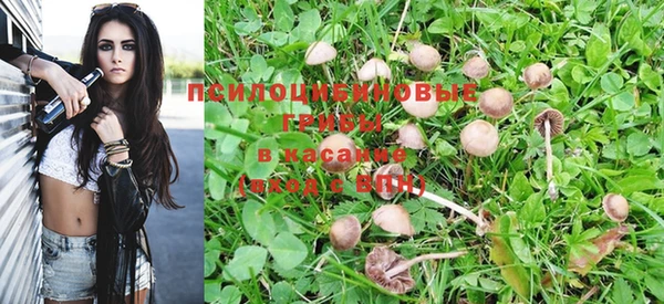 прущие крисы Алексин