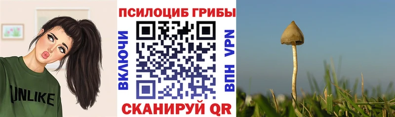 OMG зеркало Ахтубинск Галлюциногенные грибы Magic Shrooms что такое наркотик