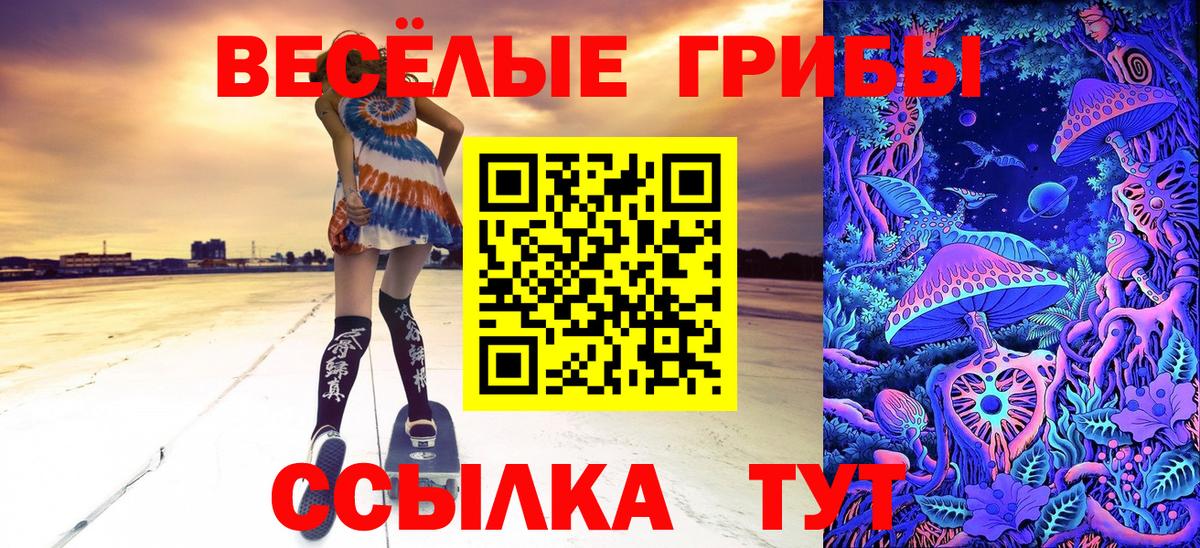 Галлюциногенные грибы Cubensis Ахтубинск