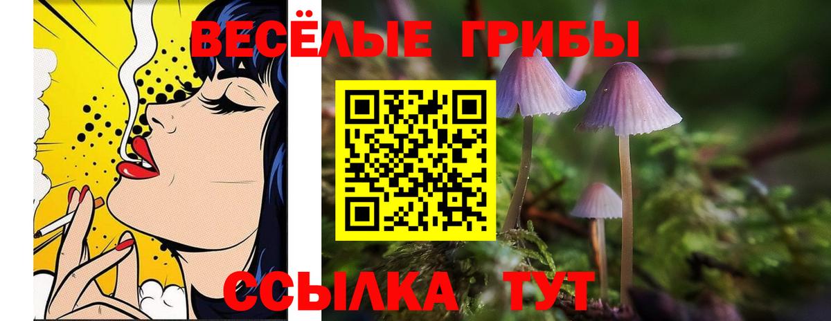 Ахтубинск  Псилоцибиновые грибы мухоморы  Вход с VPN 